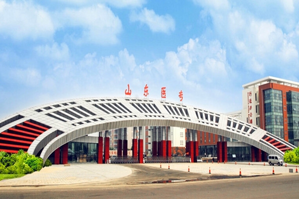 山東醫(yī)學高等?？茖W校樓宇智能化系統(tǒng)項目